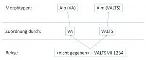 morphologischeTypisierung